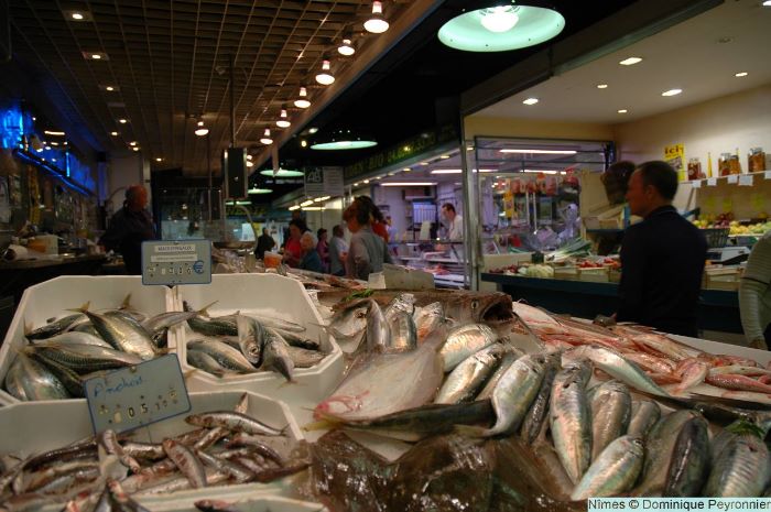 Nimes016Peyronnier.jpg