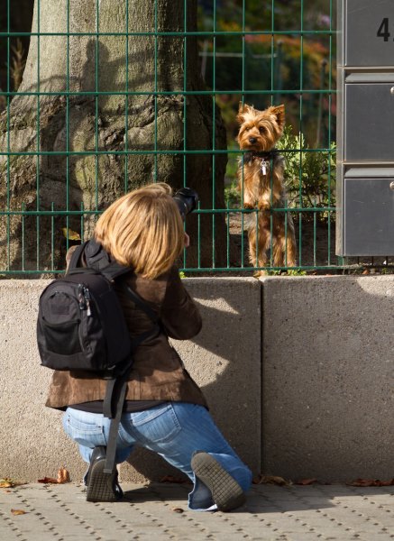 Panoderama1069on work.jpg